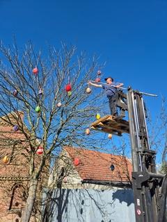 Arbeiten am Osterbaum