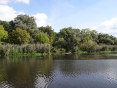 Naturnahes Ufer Foto: FG Umwelt- und Naturschutz