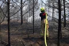 Zum Waldbrand rückt die Berufsfeuerwehr leider öfter aus
