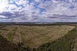 Interessenbekundungsverfahren für eine mögliche Entwicklung der ehemaligen Rieselfelder gestartet