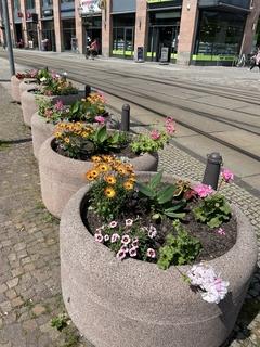 bepflanzte Blumenkübel