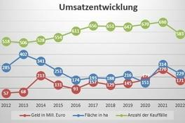Grafik Umsatzentwicklung