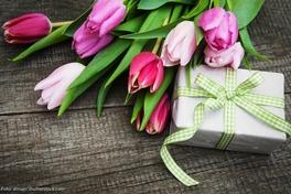 OB Steffen Scheller gratuliert zum Frauentag