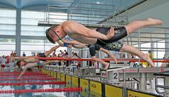 Schwimmer Schwimmer beim Sprung ins Becken