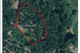 Der Bürgerwald kann nahe Forsthaus entstehen.