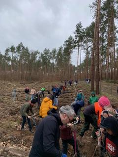 Die erste Gruppe beim Pflanzen im Stadtwald.