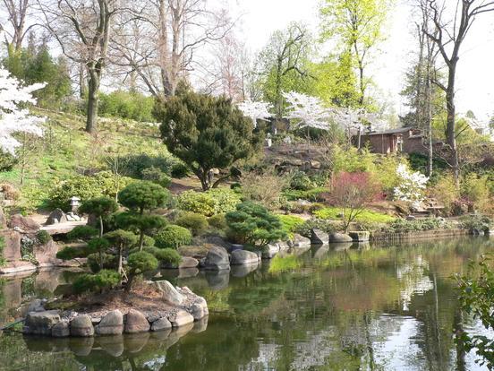 Teich und Pflanzen im Japanischen Garten