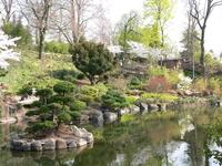 Japanischer Garten Teich und Pflanzen im Japanischen Garten