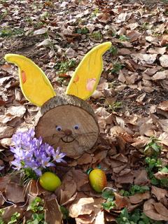Osterhase aus Baumscheibe