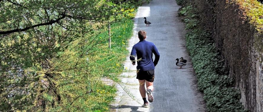 Singles Junger Mann joggt durch einen Park