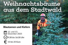 Ein Mann in Forstarbeitskleidung steht zwischen Nadelbäumen.