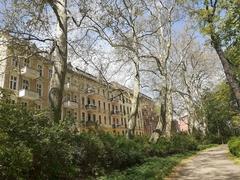 Naturdenkmal 3: Platanen (Bergstraße)