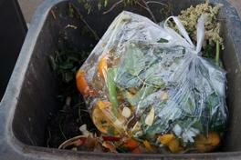 Alles Bio – oder was … ist in der Biotonne?