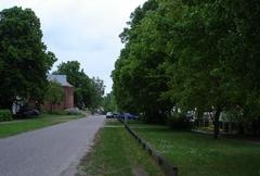 Naturdenkmal 39: Walnußallee (Juglans regia) an der Havelstraße in Klein Kreutz