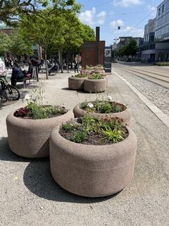 bepflanzte Blumenkübel