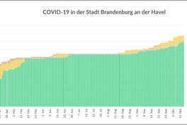 Corona-Wochengrafik des Gesundheitsamtes