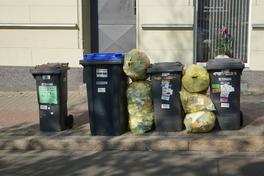 Müttonnen am Straßenrand