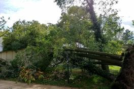 Beseitigung von akuten Sturmschäden – Bürger müssen sich gedulden