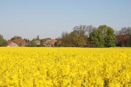 Start des 7. Projektauswahlverfahrens für die LEADER-Förderung