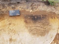 Briest eisenzeitliches Langhaus