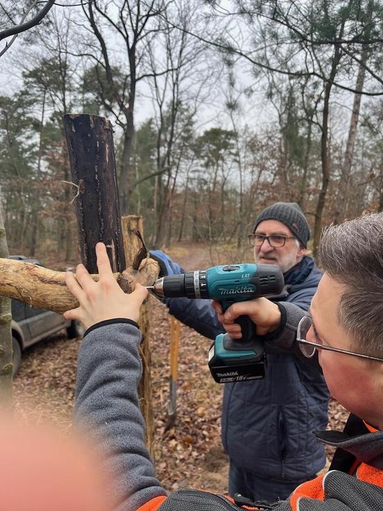 Stützpfähle für das gerade Anwachsen des Baumes und vor Windschäden werden angebracht