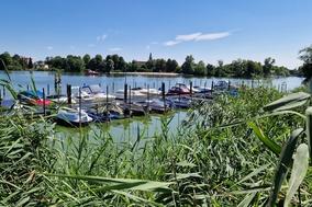 Brandenburg an der Havel hat viel schützenswerte Natur. Die Stadtentwicklung mit ihr in Einklang zu bringen, ist eine Aufgabe des Naturschutzbeirates.
