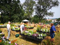 LebensArt – Freiluftausstellung auf dem Marienberg