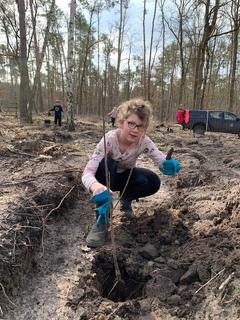 Kind pflanzt einen jungen Baum