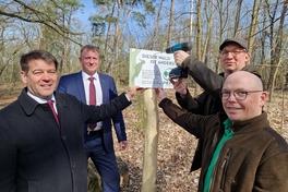 Oberbürgermeister Steffen Scheller, Beigeordneter Thomas Barz, Stadtförster Thomas Meier, PEFC-Regionalmanager Tim Rosenfeld beim Anbringen der Tafel.