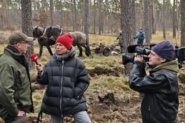 rbb-Wetterfee Ulrike Finck beim Dreh mit Stadtförster Thomas Meier und den Rückepferden.