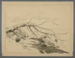 Digitalisierungsprojekt des Stadtmuseums Brandenburg an der Have Karl Hagemeister zeichnete die Küstenlandschaft mit totem Baum wohl 1915, in seiner letzten, intensiven Schaffensphase