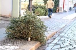 Weihnachtsbaum vor der Tür