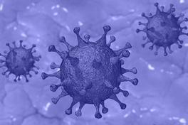 Land verschärft Maßnahmen zur Eindämmung der Corona-Pandemie / Gültig ab Montag, 23.03.2020