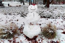 Schneemann auf schneebedeckter Wiese