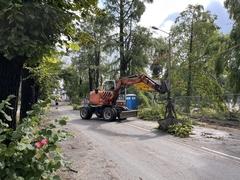 ein Bagger hebt einen Ast von der Straße