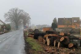 Einige Bäume an der B1 in Wust sind schon gefallen.