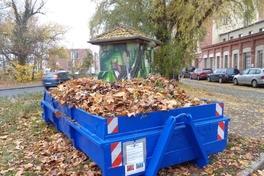Aufstellung von Laubcontainern in der Stadt Brandenburg an der Havel