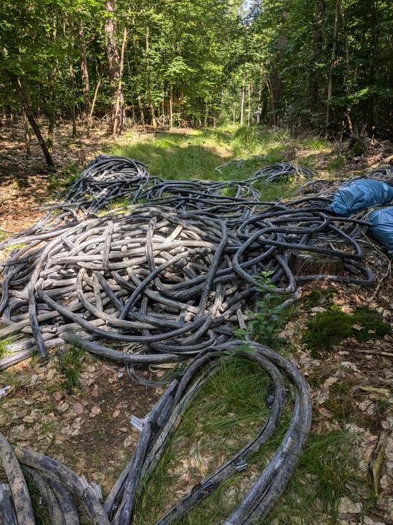 Illegale Müllablagerung im Waldgebiet Görisgräben