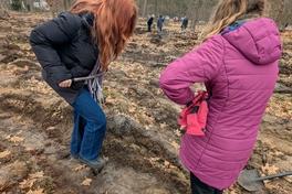 Pflanzaktion im Brandenburger Stadtwald.