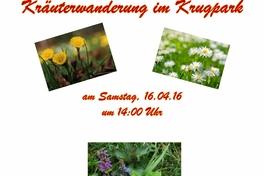 Wildkräuterwanderung durch den Krugpark