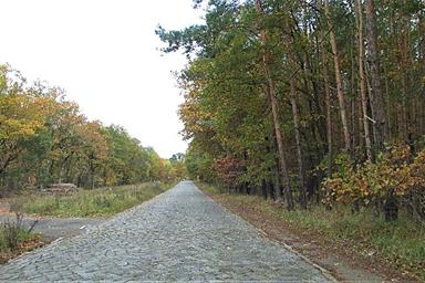 Blick auf die Straße zur Malge