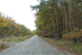 Blick auf die Straße zur Malge