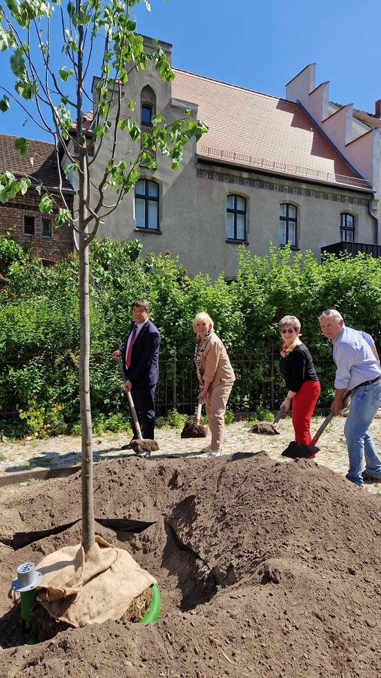Oberbürgermeister Steffen Scheller, Dr. med. Birgit Didczuneit-Sandhop, Dr. Dietlind Tiemann und Ralf Dieckmann bei der Baumpflanzung.