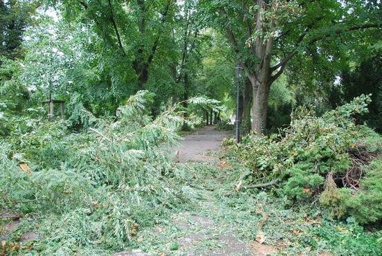 Sturmschäden werden beseitigt – Bürgerpark Marienberg gesperrt